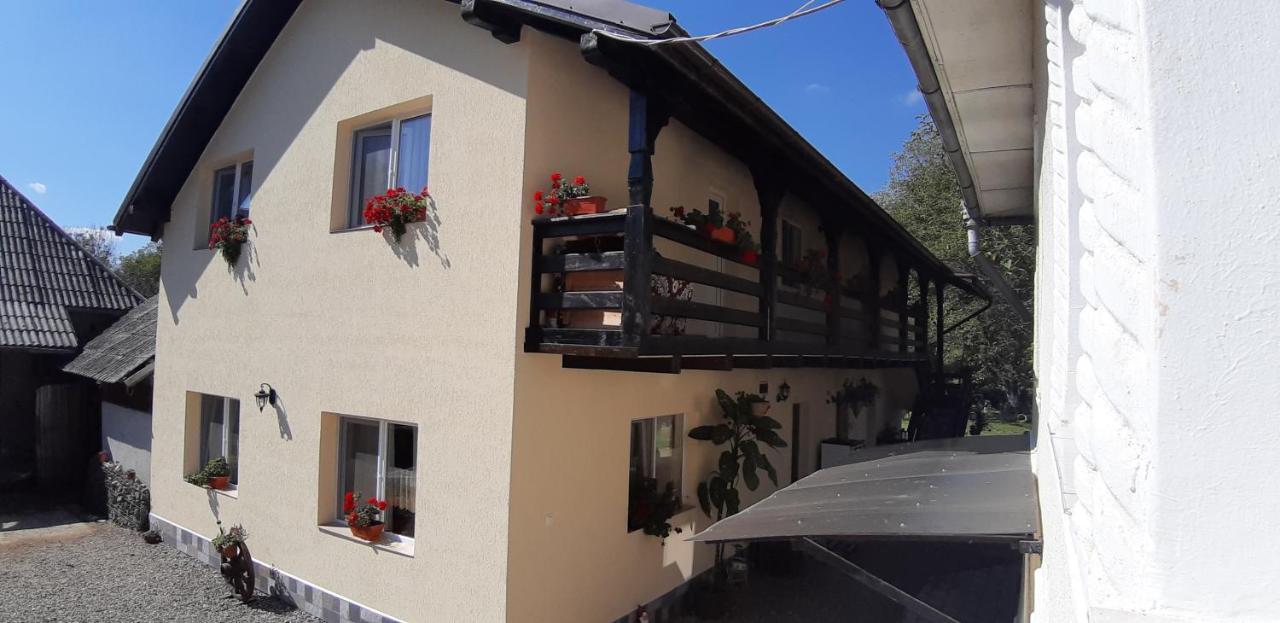 Pensiunea Casa Godja Valeni  ภายนอก รูปภาพ